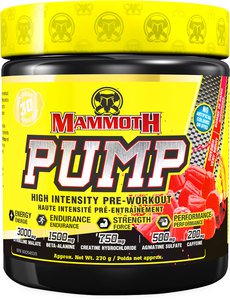 Pump by Mammoth