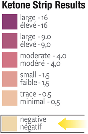 Ketone Strips Color Chart